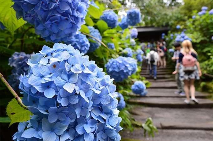 guest house 鎌倉記憶 Kamakura Extérieur photo